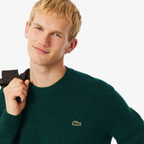 Men's Wool Pullover AH2916 166