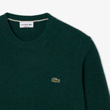 Men's Wool Pullover AH2916 166