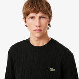 Maglione girocollo a trecce in lana  AH2924 GJP