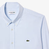 Camicia in cotone regular fit CH2933 HBP